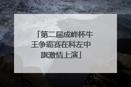 第二届成峰杯牛王争霸赛在科左中旗激情上演