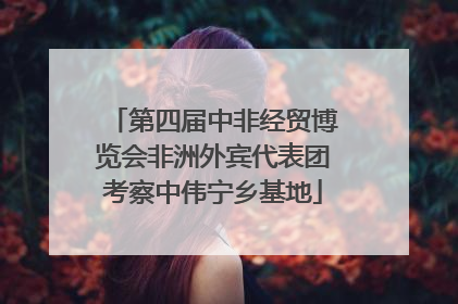 第四届中非经贸博览会非洲外宾代表团考察中伟宁乡基地