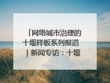 网络城市治理的十堰样板系列报道｜新闻专访：十堰为什么成为“黑马型”城市治理网络维度典型