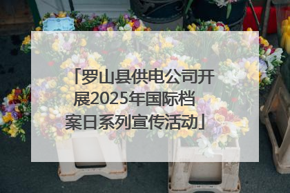 罗山县供电公司开展2025年国际档案日系列宣传活动