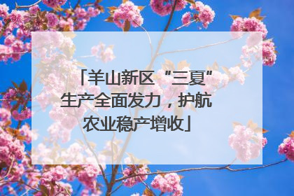 羊山新区“三夏”生产全面发力，护航农业稳产增收