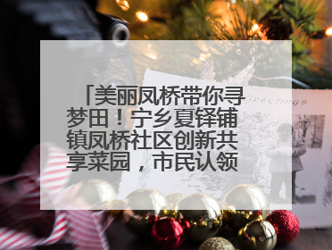 美丽凤桥带你寻梦田！宁乡夏铎铺镇凤桥社区创新共享菜园，市民认领菜土，体验耕种收获乐趣