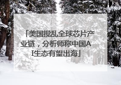 美国搅乱全球芯片产业链，分析师称中国AI生态有望出海