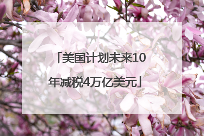 美国计划未来10年减税4万亿美元