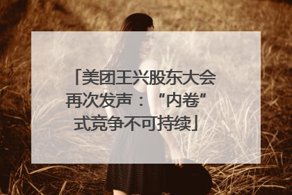 美团王兴股东大会再次发声：“内卷”式竞争不可持续