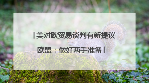 美对欧贸易谈判有新提议 欧盟：做好两手准备