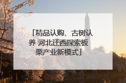 精品认购、古树认养 河北迁西探索板栗产业新模式