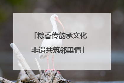 粽香传韵承文化 非遗共筑邻里情