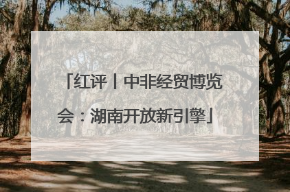 红评丨中非经贸博览会：湖南开放新引擎