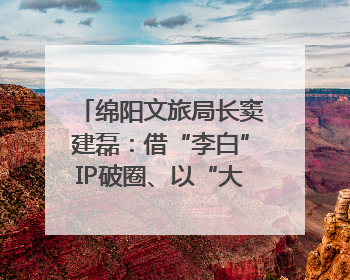 绵阳文旅局长窦建磊：借“李白”IP破圈、以“大熊猫”引流 依托科技优势绽放城市文旅魅力｜文旅局长说