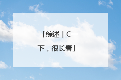 综述｜C一下，很长春