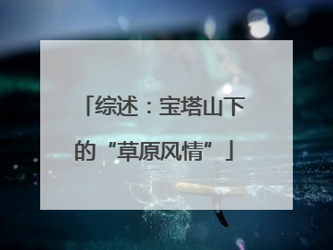综述：宝塔山下的“草原风情”