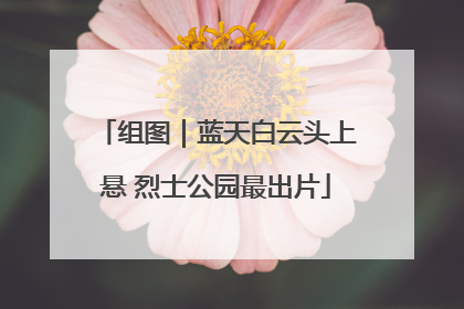组图｜蓝天白云头上悬 烈士公园最出片