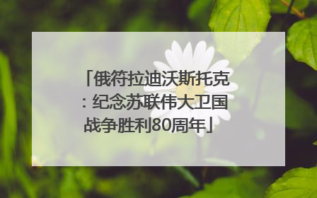 俄符拉迪沃斯托克：纪念苏联伟大卫国战争胜利80周年