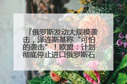 俄罗斯发动大规模袭击，泽连斯基称“可怕的袭击”！欧盟：计划彻底停止进口俄罗斯石油！油价飙涨