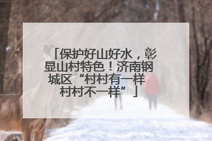 保护好山好水，彰显山村特色！济南钢城区“村村有一样 村村不一样”