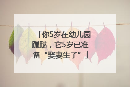 你5岁在幼儿园蹦跶，它5岁已准备“娶妻生子”