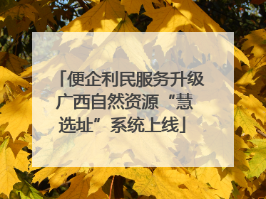 便企利民服务升级 广西自然资源“慧选址”系统上线