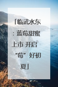 临武水东：蓝莓甜蜜上市 开启“莓”好初夏