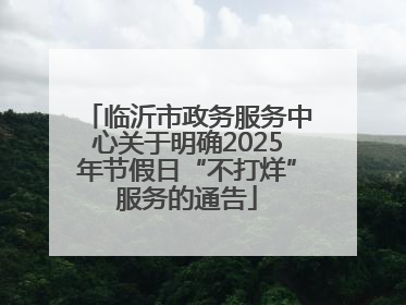 临沂市政务服务中心关于明确2025年节假日“不打烊”服务的通告