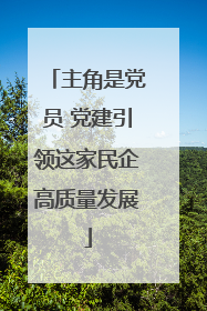 主角是党员 党建引领这家民企高质量发展