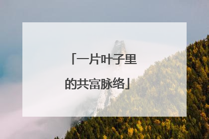 一片叶子里的共富脉络