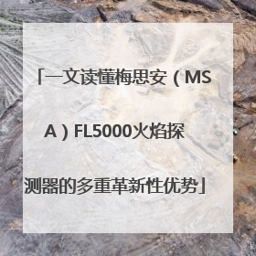 一文读懂梅思安（MSA）FL5000火焰探测器的多重革新性优势