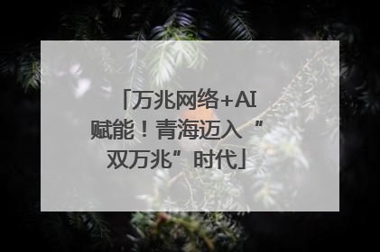 万兆网络+AI赋能！青海迈入“双万兆”时代