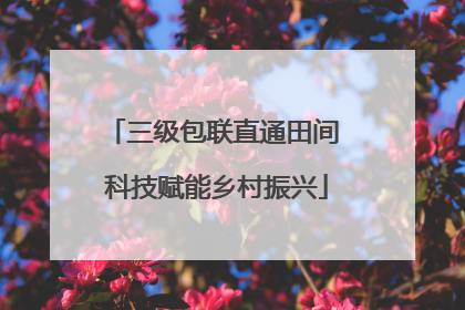 三级包联直通田间 科技赋能乡村振兴