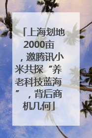 上海划地2000亩，邀腾讯小米共探“养老科技蓝海”，背后商机几何