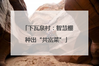 下瓦泉村：智慧棚种出“共富菜”