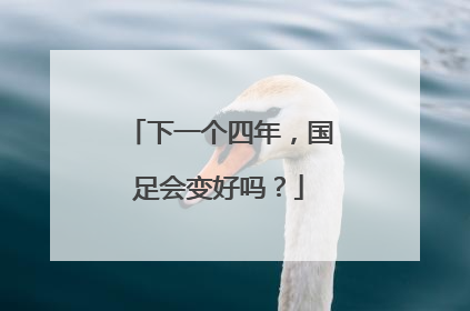 下一个四年，国足会变好吗？