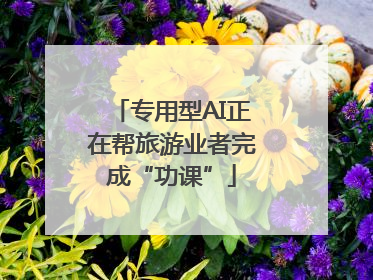 专用型AI正在帮旅游业者完成“功课”