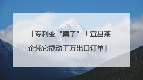 专利变“票子”！宜昌茶企凭它撬动千万出口订单