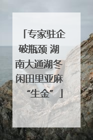 专家驻企破瓶颈 湖南大通湖冬闲田里亚麻“生金”