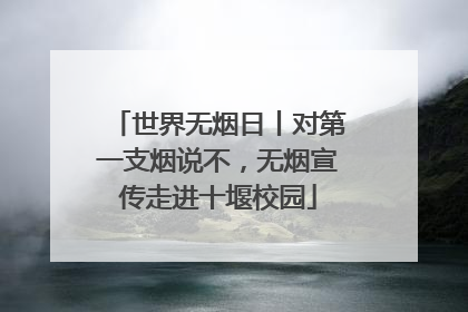 世界无烟日丨对第一支烟说不，无烟宣传走进十堰校园