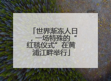 世界渐冻人日，一场特殊的“红毯仪式”在黄浦江畔举行