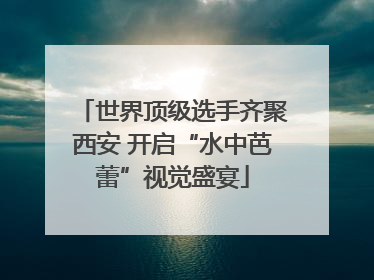 世界顶级选手齐聚西安 开启“水中芭蕾”视觉盛宴
