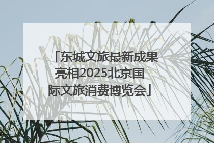 东城文旅最新成果亮相2025北京国际文旅消费博览会