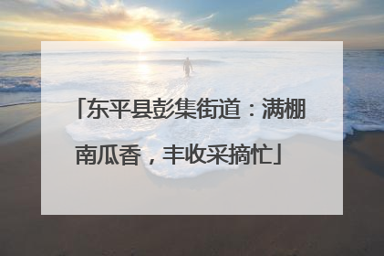 东平县彭集街道：满棚南瓜香，丰收采摘忙