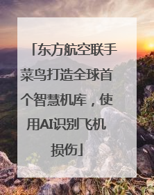 东方航空联手菜鸟打造全球首个智慧机库，使用AI识别飞机损伤