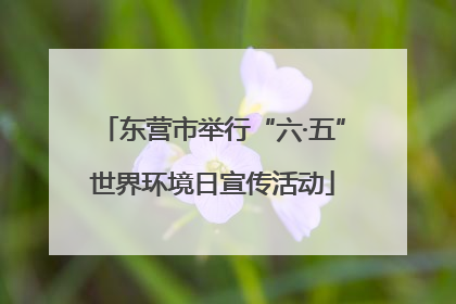 东营市举行“六·五”世界环境日宣传活动