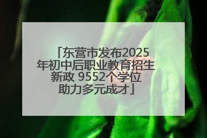 东营市发布2025年初中后职业教育招生新政 9552个学位助力多元成才