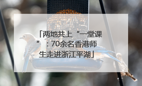 两地共上“一堂课”：70余名香港师生走进浙江平湖