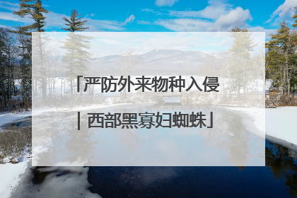 严防外来物种入侵｜西部黑寡妇蜘蛛