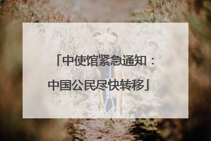 中使馆紧急通知：中国公民尽快转移
