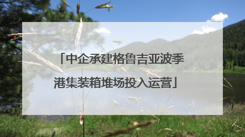 中企承建格鲁吉亚波季港集装箱堆场投入运营