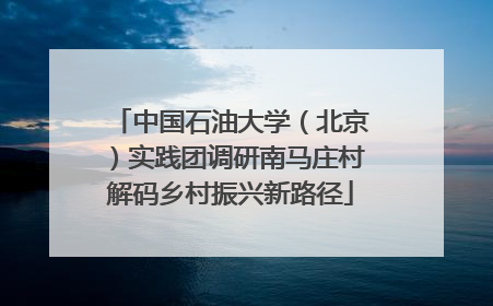 中国石油大学（北京）实践团调研南马庄村解码乡村振兴新路径
