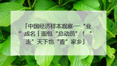 中国经济样本观察·一“业”成名丨面包“总动员”！“走”天下也“香”家乡