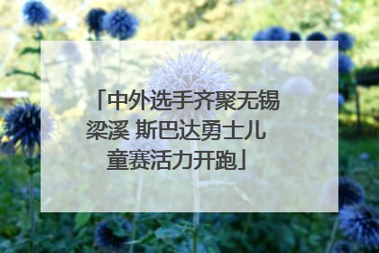 中外选手齐聚无锡梁溪 斯巴达勇士儿童赛活力开跑